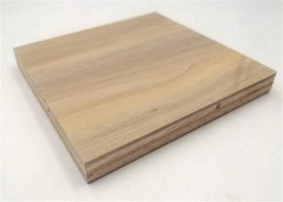 Durable  Campervans Plywood  HPL Board 4x10Ft
