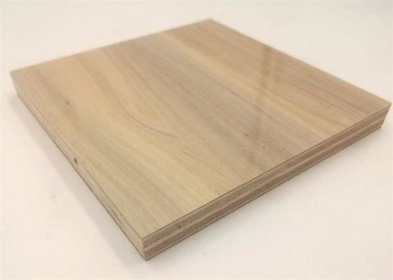Durable  Campervans Plywood  HPL Board 4x10Ft