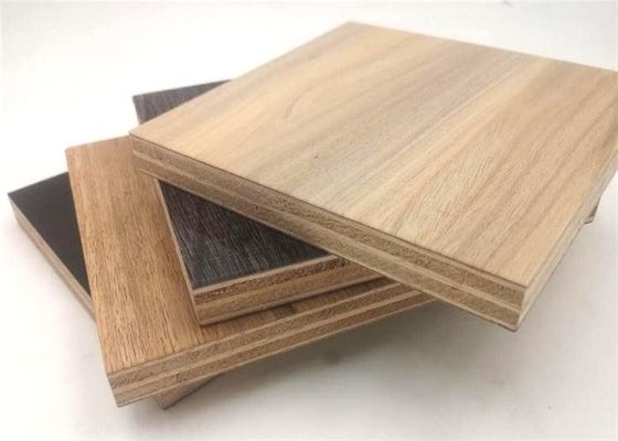 Durable  Campervans Plywood  HPL Board 4x10Ft