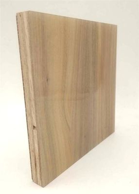 Durable  Campervans Plywood  HPL Board 4x10Ft