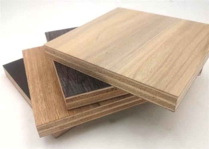 Durable  Campervans Plywood  HPL Board 4x10Ft